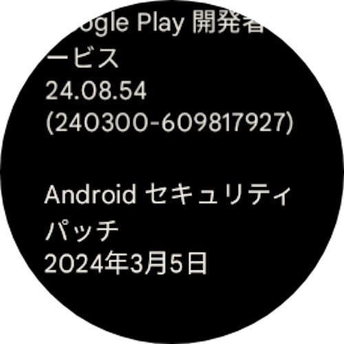 2023 March Google Pixel Watch-1