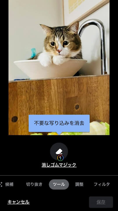 iOS Google Photos