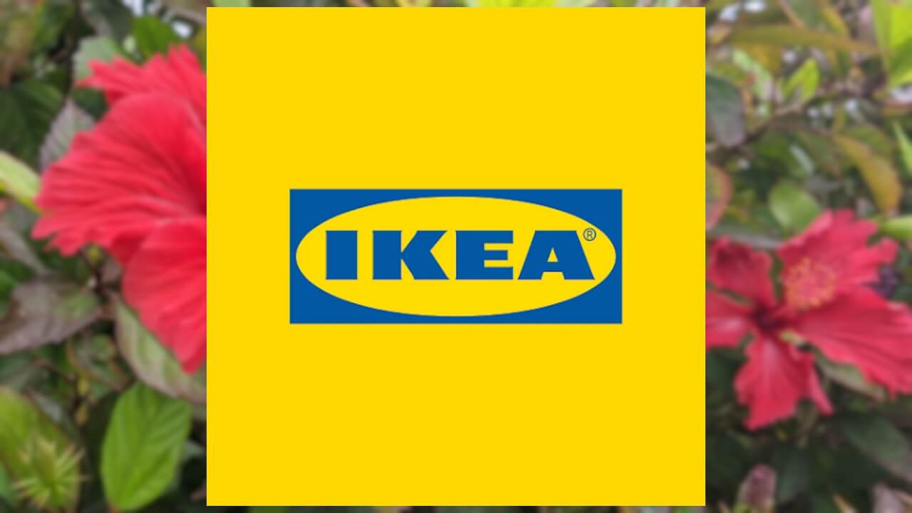 一律9,000円！沖縄IKEA「商品受取りセンター」2024年7月18日（木）開設