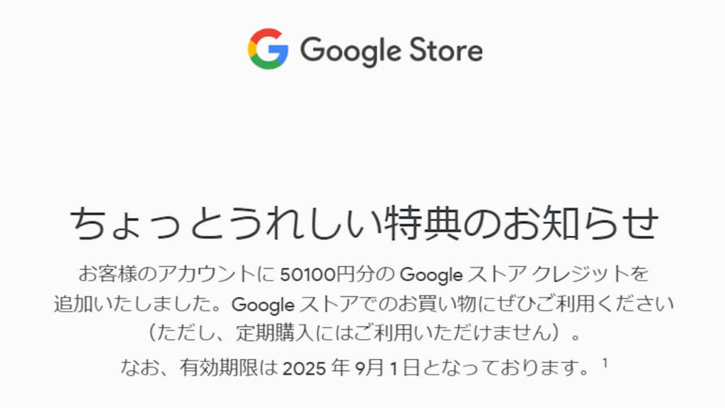 Google Store